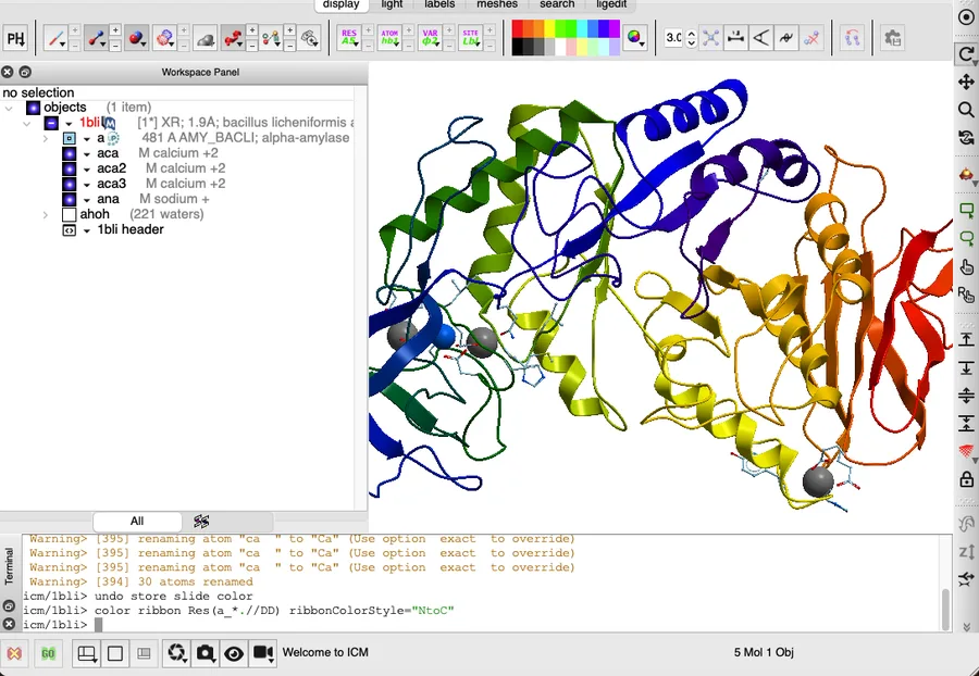 Molsoft ICM-Pro